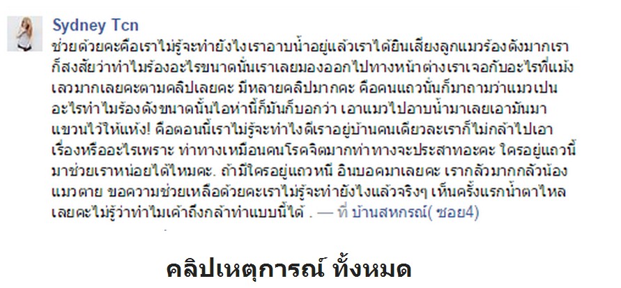 คลิปทารุณลูกแมว จับตากแดดและเหวี่ยงให้ตัวแห้ง