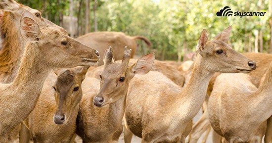 สวนสัตว์ขอนแก่น จังหวัดขอนแก่น ประเทศไทย