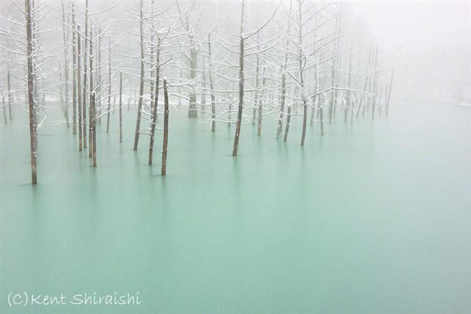 ชมบ่อน้ำสีฟ้าสดที่ฮอกไกโด-สวยเหลือเชื่อ