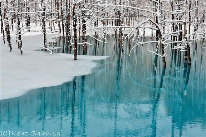 ชมบ่อน้ำสีฟ้าสดที่ฮอกไกโด-สวยเหลือเชื่อ