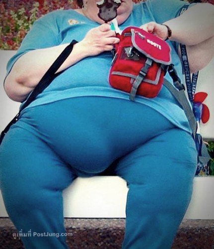 913644-img.rggovc.65li4-431x500