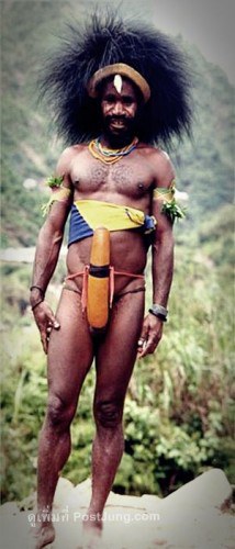 913644-img.rggovc.e85je-214x500