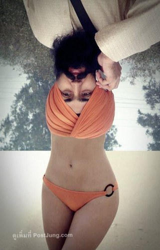 913644-img.rggovc.fe1qu-321x500