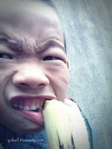 913644-img.rggovc.m0eha-376x500