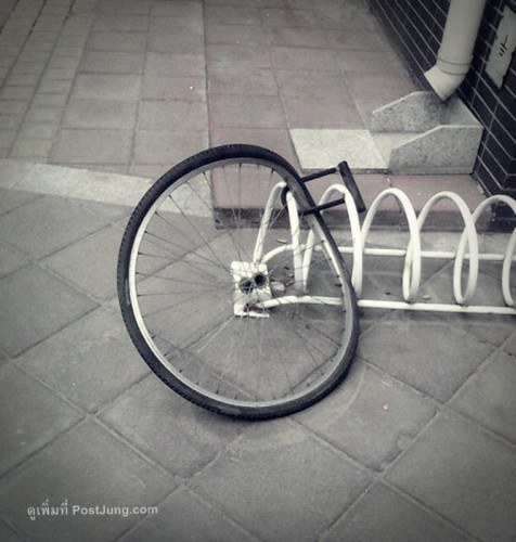 913644-img.rggovc.n2yy3-476x500