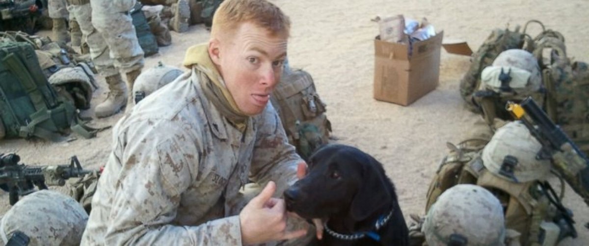 ht_dog_military_02_lb_151015_12x5_1600