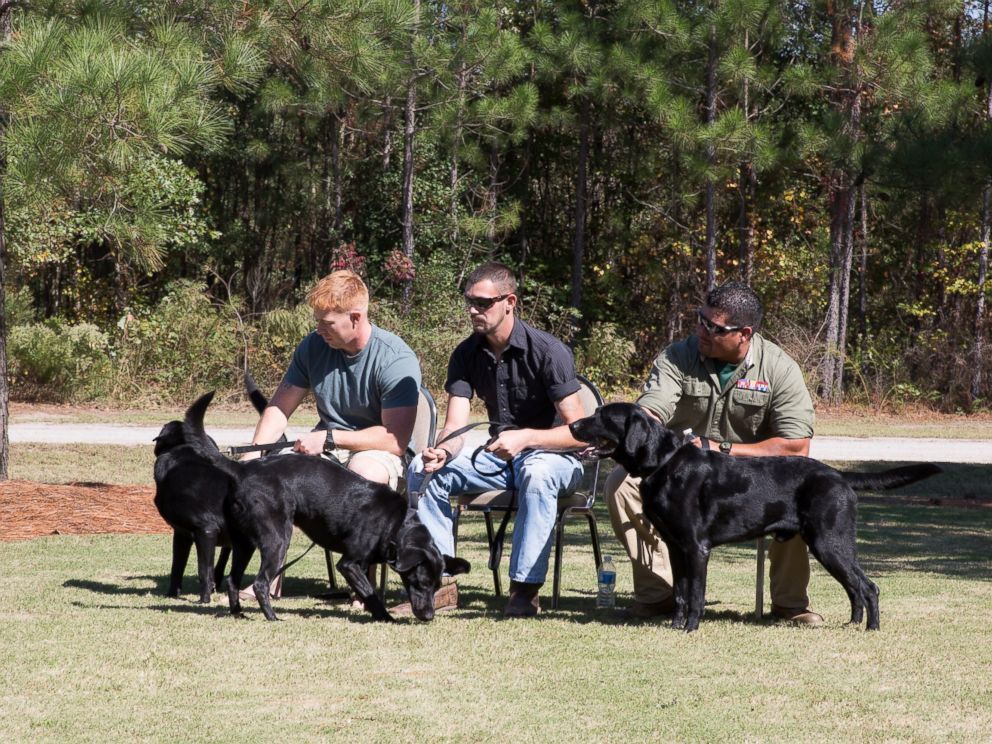 ht_dog_military_03_lb_151015_4x3_992