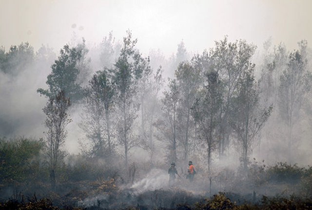 อินโดนีเซีย คาดต้องใช้เวลา 10 ปี แก้ปัญหาเผาป่า
