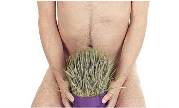 7baf4846a565a319f15ce99ff2094ff9