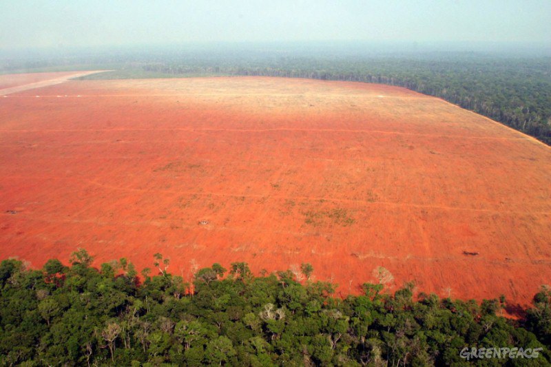 MATO GROSSO STATE, AMAZON, BRAZIL September, 2004 Illegal deforestation for soy production, in the North of State of Mato Grosso, area of influence of the BR-163 (Cuiaba-Santarem). © Greenpeace/ Alberto Csar GREENPEACE HANDOUT - NO RESALE - NO ARCHIVE - OK FOR ONLINE REPRO - CREDITLINE COMPULSORY