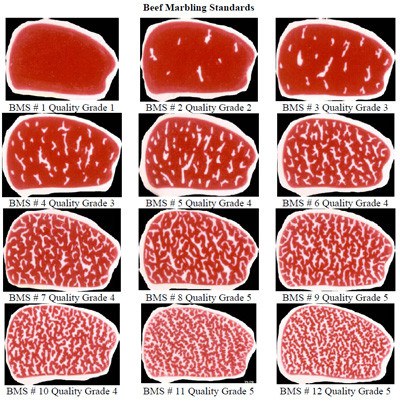 beef-marbling-standards-chart_large