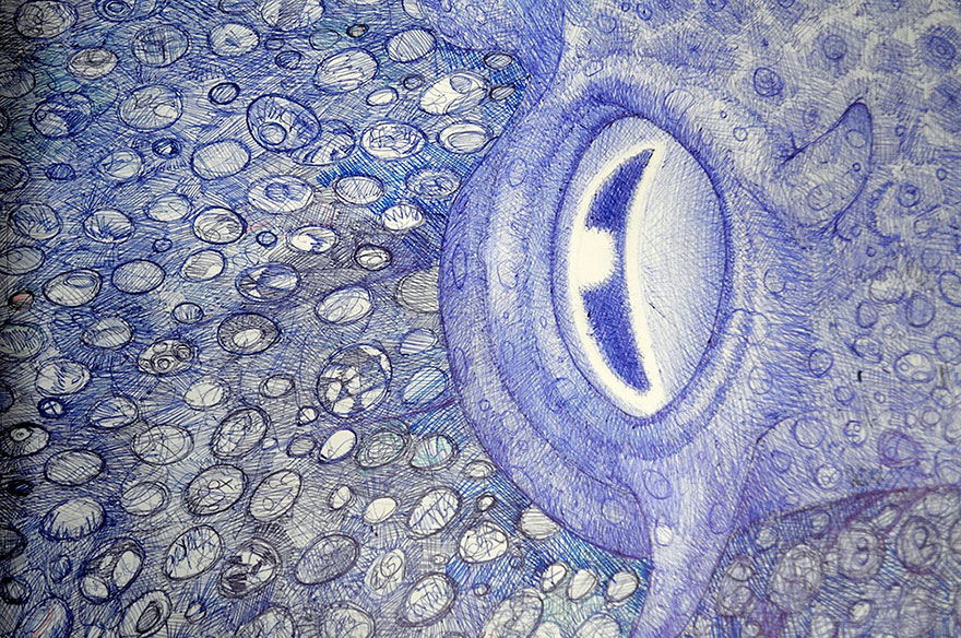 ballpoint-pen-drawing-octopus-raymond-cicin--4