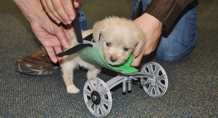 enhanced-20336-1447838972-1