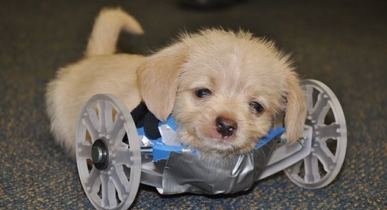 enhanced-28366-1447839150-7