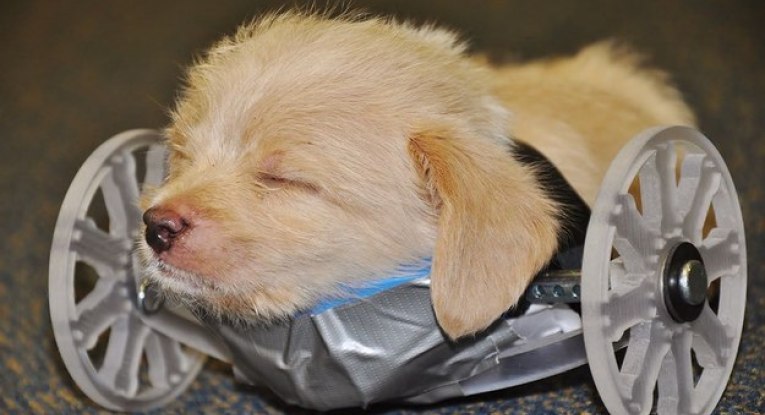 enhanced-11278-1447839477-2