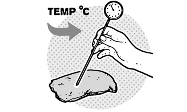meat temperature illustration