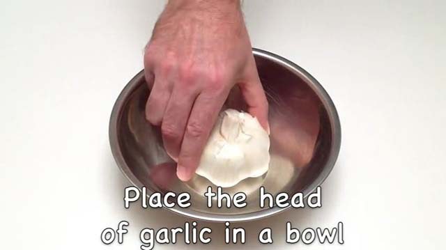 garlic01