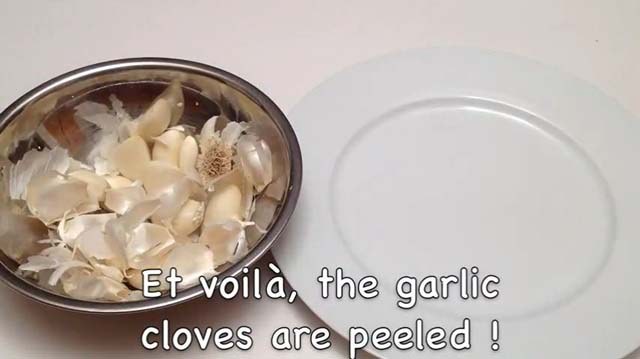 garlic05