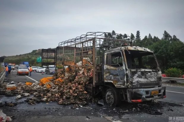 ย่างสดเป็ดกว่า 2,000 ตัวหลังรถบรรทุกเป็ดเกิดไฟไหม้กลางถนนหลวงในจีน