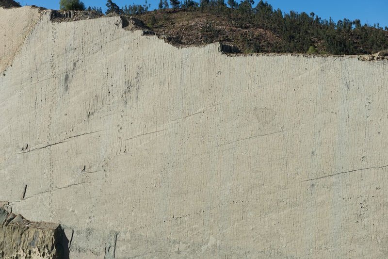 ปริศนาน่าเหลือเชื่อของ"รอยเท้าไดโนเสาร์"กว่า 5000 รอย บนกำแพงหินสูงกว่า 100 เมตรในโบลิเวีย