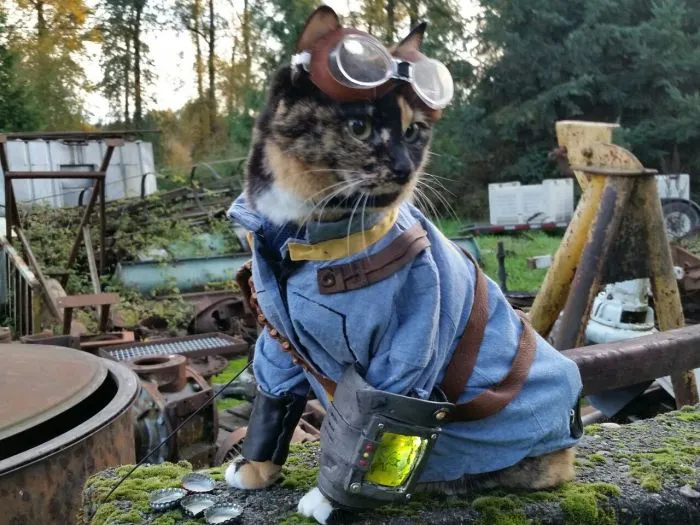 Cats in Cosplay Is The Cutest Thing Ever (14 pics)
