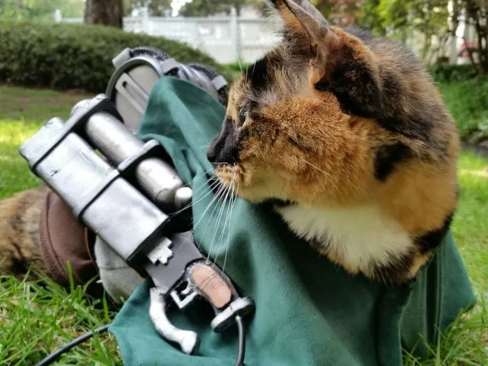 Cats in Cosplay Is The Cutest Thing Ever (14 pics)