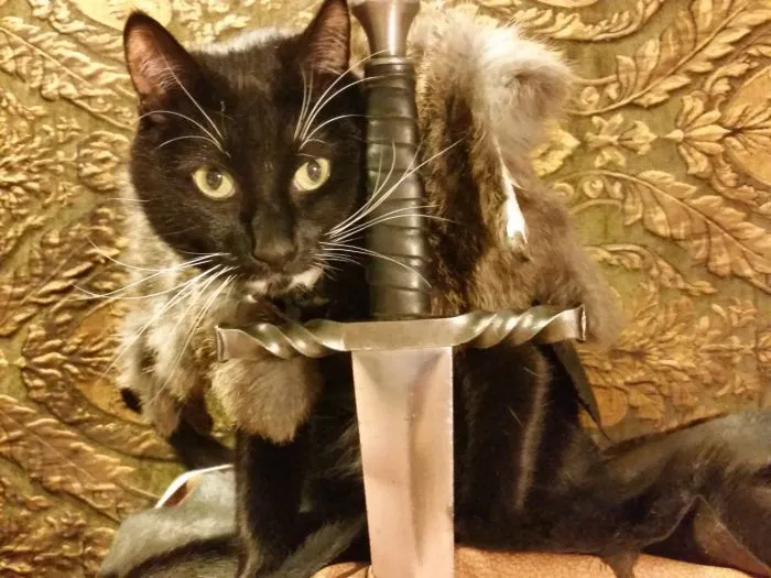 Cats in Cosplay Is The Cutest Thing Ever (14 pics)