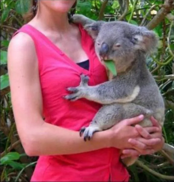 Photos That Will Make You Wish You Were Born An Animal (25 pics)