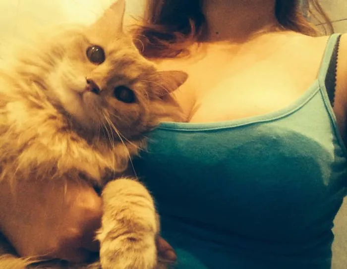 Photos That Will Make You Wish You Were Born An Animal (25 pics)