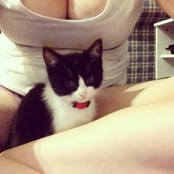 Photos That Will Make You Wish You Were Born An Animal (25 pics)