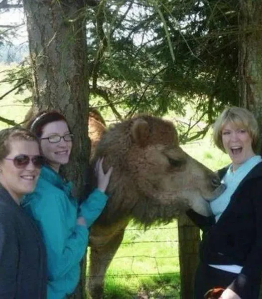 Photos That Will Make You Wish You Were Born An Animal (25 pics)