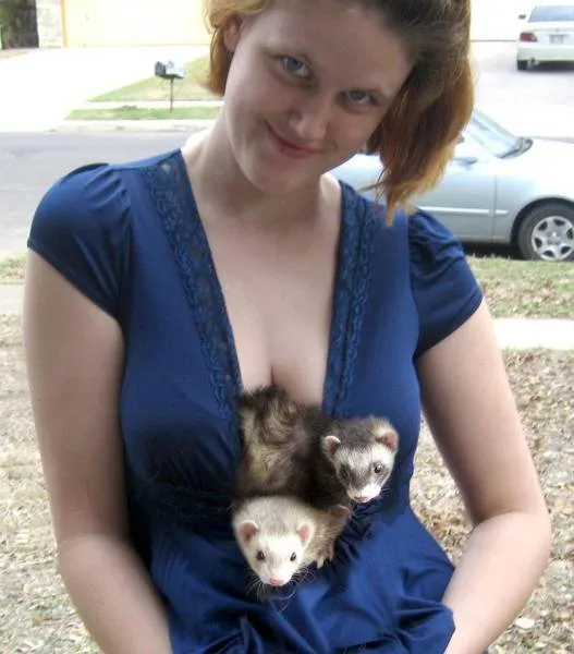 Photos That Will Make You Wish You Were Born An Animal (25 pics)