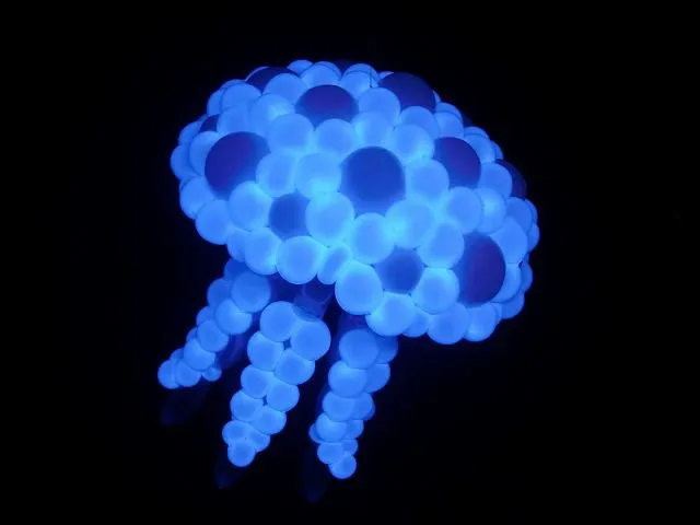 クラゲ(ネオンバルーン使用)
jellyfish (with neon ballons)
2015.2.1