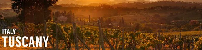 Wine Basic ไวน์เบสิก เรื่องแหล่งผลิตไวน์ ทัสคานี Tuscany ประเทศอิตาลี Italy