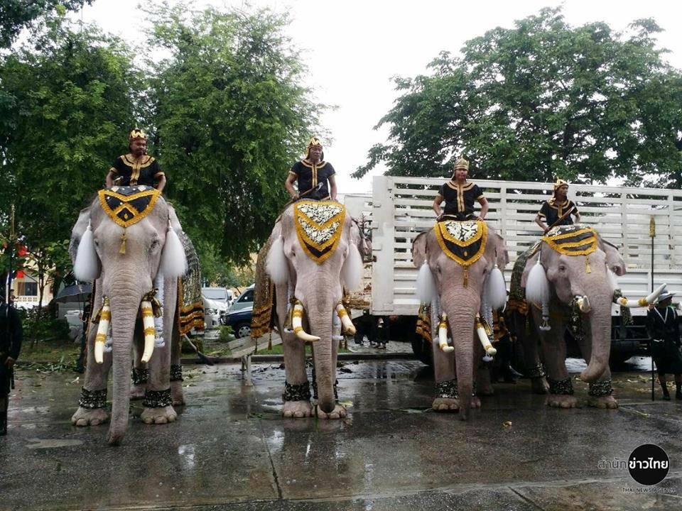 ช้าง 11 เชือก จากวังช้างอยุธยาและ ผู้ประกอบการช้างทั่วประเทศ รอเข้ากราบสักการะพระบรมศพในช่วง 09:00 น.